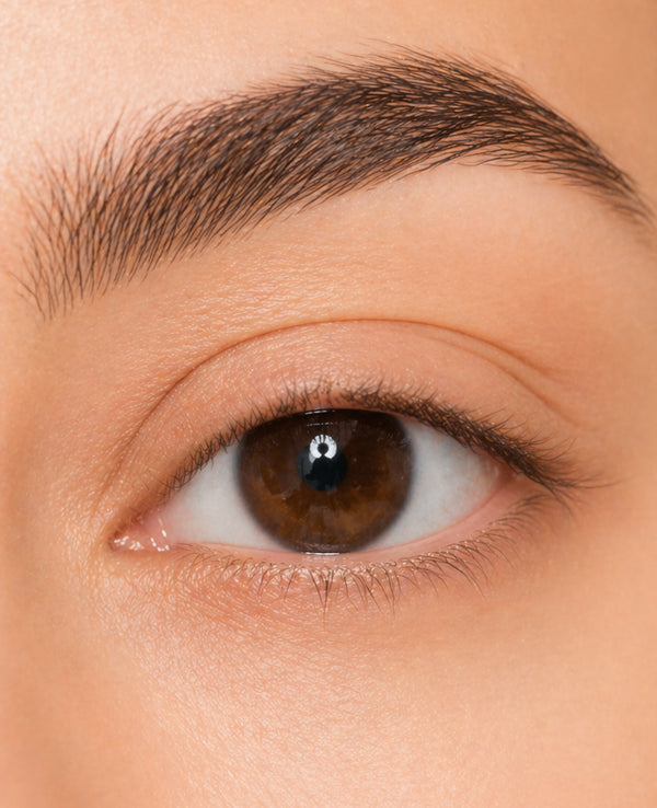 Sparse Lashes